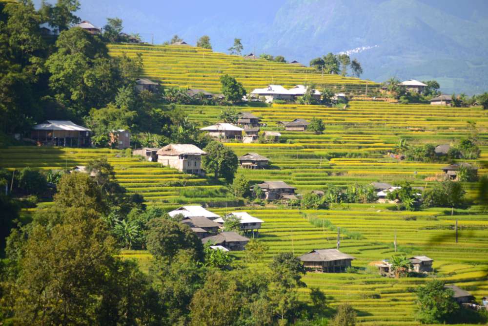 Champs en terrasses de Hoang Su Phi à Ha Giang
